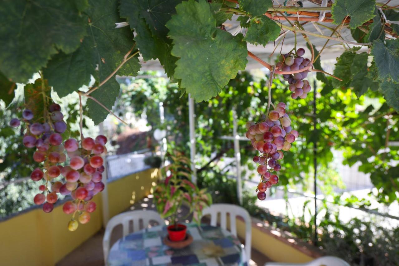 Del Sole Tropea Bed & Breakfast *