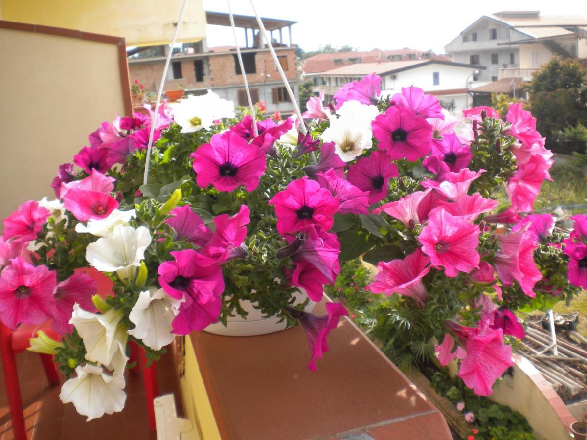 Bed & Breakfast Del Sole Tropea Riaci